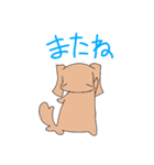 スタンプわんこーず（個別スタンプ：39）