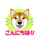 柴犬 梅太朗くんスタンプ！（個別スタンプ：3）