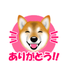 柴犬 梅太朗くんスタンプ！（個別スタンプ：5）