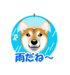 柴犬 梅太朗くんスタンプ！（個別スタンプ：14）