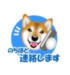 柴犬 梅太朗くんスタンプ！（個別スタンプ：15）