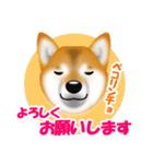 柴犬 梅太朗くんスタンプ！（個別スタンプ：17）