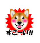 柴犬 梅太朗くんスタンプ！（個別スタンプ：18）