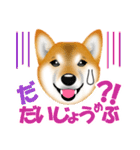 柴犬 梅太朗くんスタンプ！（個別スタンプ：21）