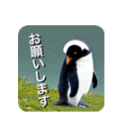 ペンギン penguin（個別スタンプ：5）