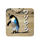 ペンギン penguin（個別スタンプ：7）