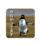 ペンギン penguin（個別スタンプ：8）