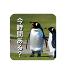 ペンギン penguin（個別スタンプ：22）