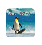 ペンギン penguin（個別スタンプ：33）