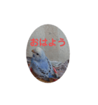 鳥郵票（個別スタンプ：1）
