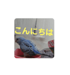 鳥郵票（個別スタンプ：2）