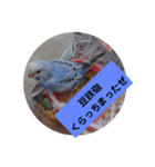 鳥郵票（個別スタンプ：7）