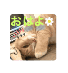 うりっちandきなっち①（個別スタンプ：1）
