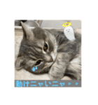 うりっちandきなっち①（個別スタンプ：8）
