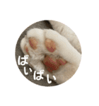 うりっちandきなっち①（個別スタンプ：11）