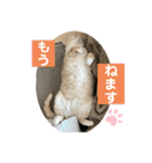 うりっちandきなっち①（個別スタンプ：13）