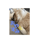 うりっちandきなっち①（個別スタンプ：14）