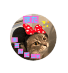 うりっちandきなっち①（個別スタンプ：16）
