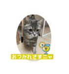 うりっちandきなっち①（個別スタンプ：17）