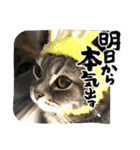 うりっちandきなっち①（個別スタンプ：20）