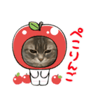 うりっちandきなっち①（個別スタンプ：23）