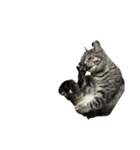 になちび〜ニャンキーシリーズ〜（個別スタンプ：2）