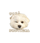 おとこやま2（個別スタンプ：1）