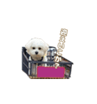 おとこやま2（個別スタンプ：7）