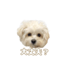 おとこやま2（個別スタンプ：13）