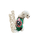 おとこやま2（個別スタンプ：14）