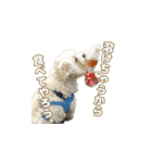 おとこやま2（個別スタンプ：16）