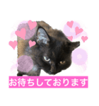 黒猫 ルナ院長51にゃんめ（個別スタンプ：2）