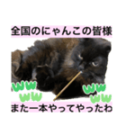 黒猫 ルナ院長51にゃんめ（個別スタンプ：7）