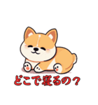 可愛い柴犬WOW_JP1（個別スタンプ：13）