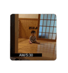 ふうとくんのすたんぷ2（個別スタンプ：10）