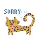 ゆるやまねこのドット絵風英語スタンプ（個別スタンプ：8）