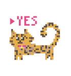 ゆるやまねこのドット絵風英語スタンプ（個別スタンプ：9）