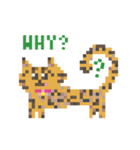 ゆるやまねこのドット絵風英語スタンプ（個別スタンプ：11）