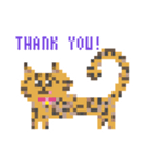 ゆるやまねこのドット絵風英語スタンプ（個別スタンプ：15）