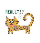 ゆるやまねこのドット絵風英語スタンプ（個別スタンプ：20）