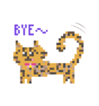 ゆるやまねこのドット絵風英語スタンプ（個別スタンプ：22）