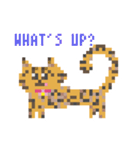 ゆるやまねこのドット絵風英語スタンプ（個別スタンプ：28）