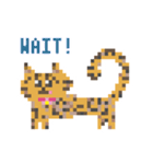 ゆるやまねこのドット絵風英語スタンプ（個別スタンプ：38）