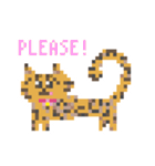 ゆるやまねこのドット絵風英語スタンプ（個別スタンプ：39）