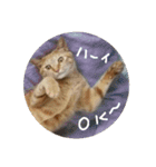 猫とよく使う言葉（個別スタンプ：40）