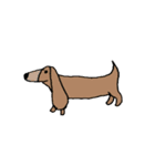 毎日使えるシュール系スタンプ❤（個別スタンプ：21）