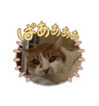 えみちゃん☆R（個別スタンプ：4）
