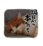 えみちゃん☆R（個別スタンプ：12）