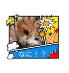 えみちゃん☆R（個別スタンプ：14）