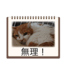 えみちゃん☆R（個別スタンプ：15）